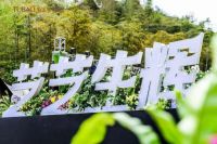 2025兔宝宝全屋定制春季新品发布会暨第十一届“兔宝宝杯”设计大赛启幕，共绘家居美学新图景