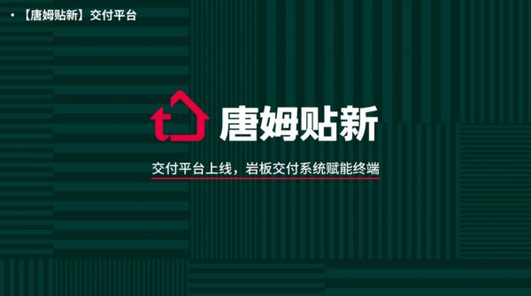 唐姆贴新：以标准化交付服务破解打通岩板应用”落地难题“