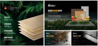 喜报！百强板材荣膺2025第十届中品榜“健康板材十大品牌”