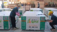 再度上榜|森富力板材斩获2025中品榜“家具板十大品牌”