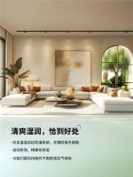 以匠心驭湿意，约克VRF中央空调解码祛湿居家密码