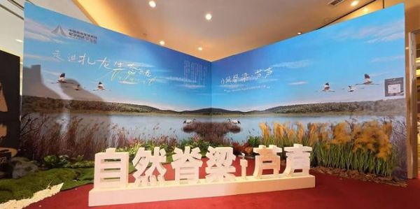 尼尔科达芦苇板全国招商大会启幕，引领板材行业创新变革