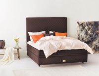 海丝腾 520 浓情臻礼：以臻致好眠雕琢爱的每一寸时光