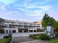 茶香韵山城，江北品香茗，山城茶文化盛宴等你来赴约