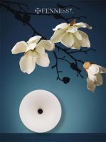 梵尼诗Donut i5系列上市五周年 以「时代色彩」重塑留声机艺术