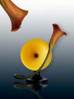 梵尼诗Donut i5系列上市五周年 以「时代色彩」重塑留声机艺术