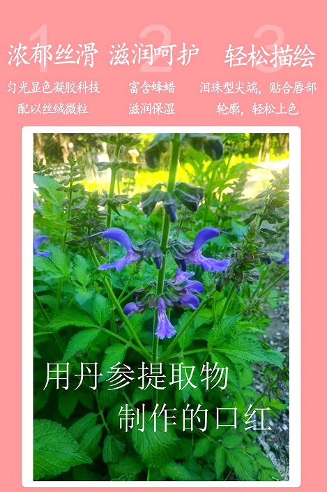 丹参不沾杯口红——东方草本美学的破界新生