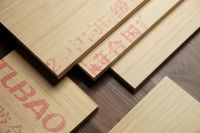 2025“阻燃守护・品质人居”大会即将启幕，共探安全人居新未来