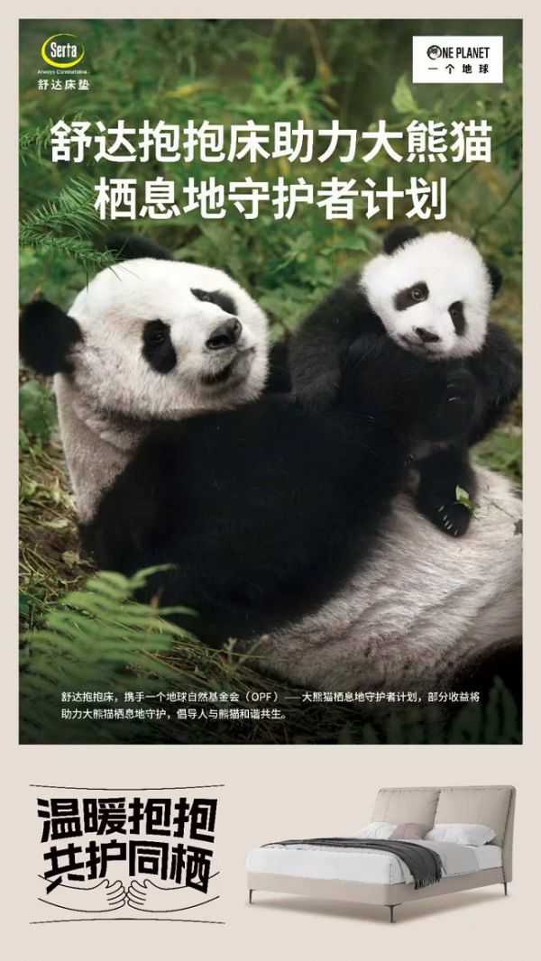 舒达「抱抱床」温暖上市,助力大熊猫栖息地守护者计划