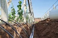 联塑集团：中国管道技术隐形冠军的崛起与创新之路