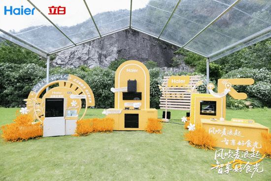 做饭怕麻烦只吃外卖?海尔厨电麦浪套系让做饭不麻烦