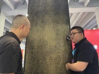 高调亮相建博会，VillaePaint凭什么成为艺术漆黑马