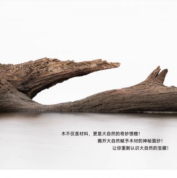 家柏晶石晶系列人字拼地板：把森林搬进家，静赏岁月美好