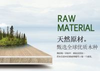 夏日“家”倍清爽，天山板材绘就温馨清凉画卷