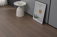 巨龙逸家地板：解锁家装美学，铺就理想生活