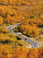 享约舒达邀你去“找北”，舒达独家冠名2025大兴安岭自驾之旅