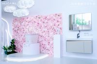 惠达王佳亮相京东智能家居发布会，助力智慧人居新生活！