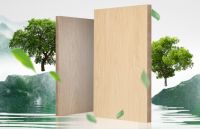 行业标杆，实至名归！兔宝宝斩获2025年度“最具价值品牌”“最具影响力品牌”两项荣誉