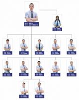 新品上市 | 陶瓷一线品牌秦皇达陶瓷「臻木·木纹」复刻自然，超越自然，重塑自然美学