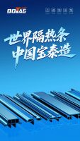权威认证！宝泰隔热条获评「中国隔热条行业领导品牌」好门窗的标配之选