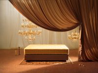 雅兰荣登“2025亚洲品牌500强”，斩获双项国际殊荣