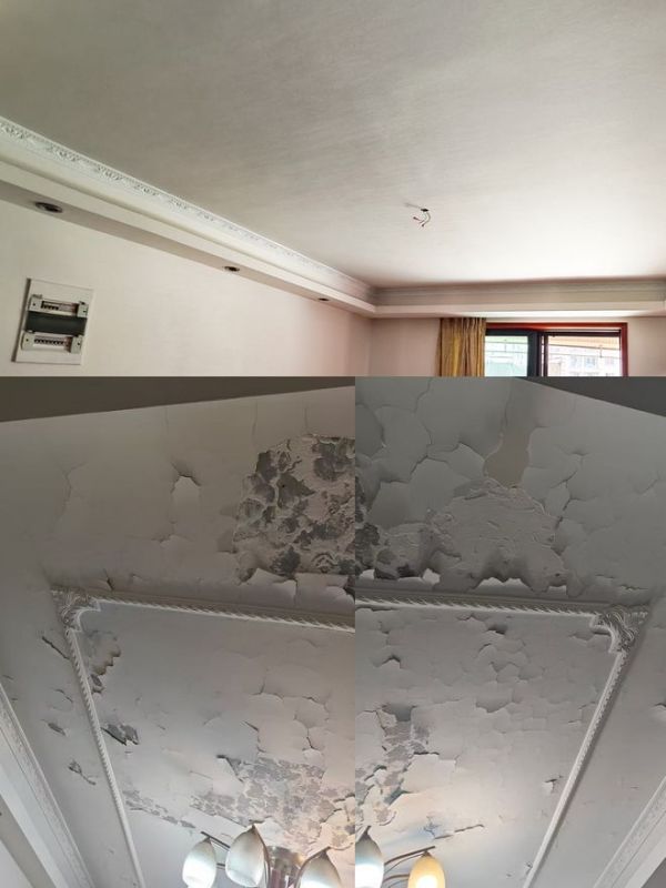 老房墙面 “烂糟糟”？天洋墙布墙面一键焕新，即贴即住太香了！ 新浪