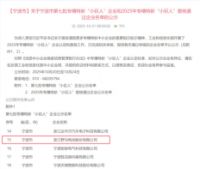 野马电池入选“未来工厂”与“专精特新小巨人”，彰显碱锰电池制造实力