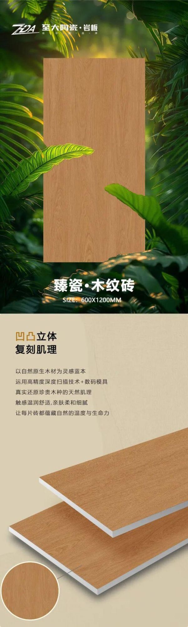 陶瓷一线品牌至大陶瓷｜臻瓷·木纹砖【云岭杉木】