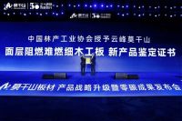 喜报！云峰莫干山荣获“中国木业高质量发展领军企业”称号