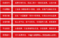 三雄极光荣获双品工程“品牌引领标杆企业”大奖，彰显品牌硬实力