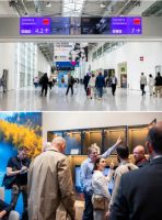 从“制造出海”到“品牌扎根”：DTC东泰的全球化进阶之路