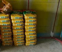 有地宝瓷砖胶+卓越背胶，地砖贴得又稳又好！