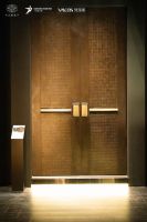 梵蒂斯副总裁胡造奇：在变革中领跑高端入户门赛道