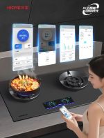 2025燃气用具创新机型发布，火王智能灶居榜首！