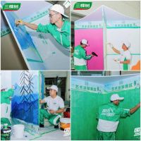 2025三棵树艺术涂装实现突破，领航“好房子”美学新征程