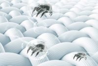 你的床垫是“细菌培养皿”，还是净化器”？