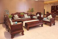 年年红金典和富典系列有什么区别？