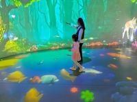 感觉统合训练的科学体系构建：从理论到实践的系统化解决路径