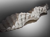 斯丽比迪升级活力Pro床垫：硬核护脊助力春季深睡