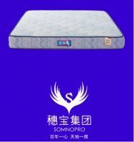 2026年十大国民口碑护脊床垫品牌推荐，必看指南榜单！