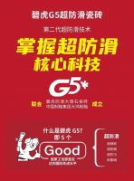 重磅喜讯|碧虎超防滑瓷砖创始人彭天奎荣获省级殊荣！