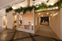 2026设计上海 | 一粒种子，认出了它的春天