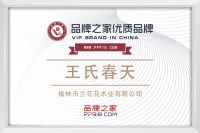 强强联合！王氏春天与品牌之家携手，多维布局铸就本土家装品牌新标杆