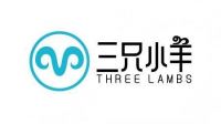 对话杨波：当AI说我们是“现象级”，三只小羊到底做对了什么？