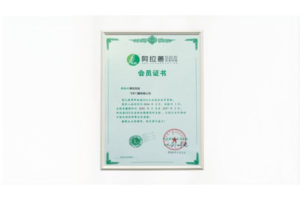 2026设计师推荐的节能门窗十大品牌排行榜单