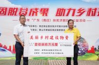 品牌硬实力 | 新明珠集团荣膺佛山市推进 “百千万工程” 先进集体称号