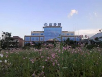 参观席梦思中国工厂：破译“弹簧床垫”