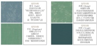 慧明A+壁纸2021《雅·江南》重装上阵