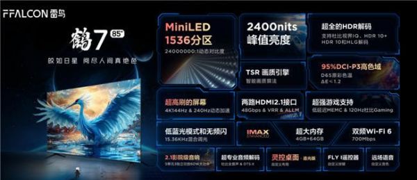 2024年FFALCON雷鸟新品发布会：ACE计划·新征程