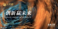 荣耀加冕|伊伊布舍获得2024中品榜软装十大品牌